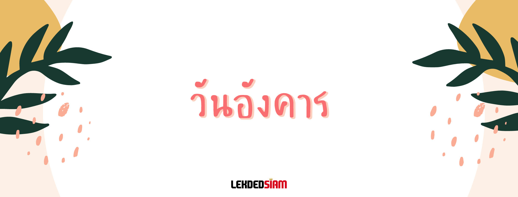 ดวงรายวันประจำวันพุธ 10 กรกฎาคม 2567