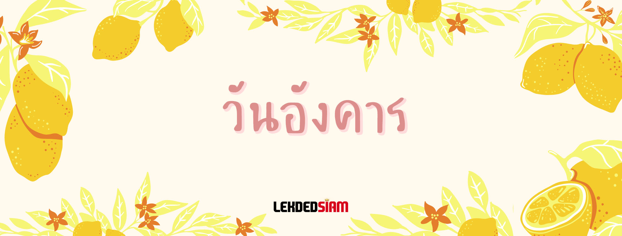 ดวงรายวันประจำวันจันทร์ 26 สิงหาคม 2567