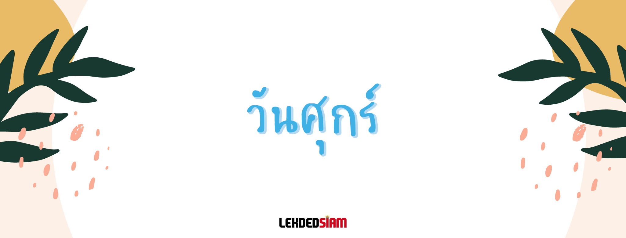 ดูดวงฟรี